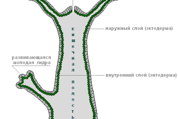 Как восстановить аккаунт на кракене