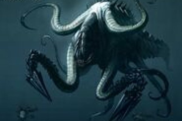 Kraken 14at