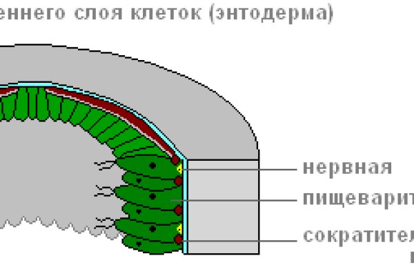 Не могу зайти в аккаунт кракен