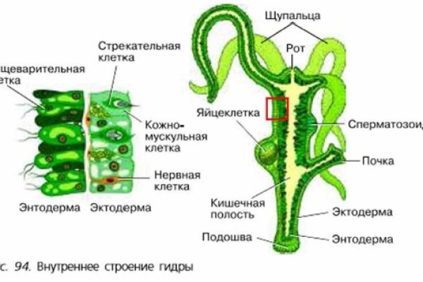 Кракен сайт наркотиков